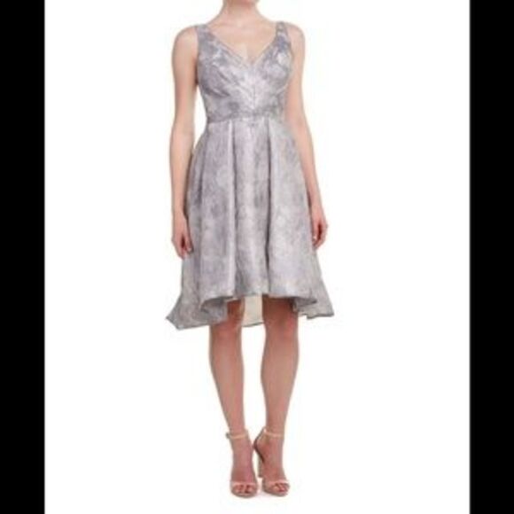 Eva Franco Platinum Fit and Flare Dress - Picture 1 of 1